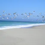 - Sea House *