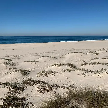 - Sea House Torreira